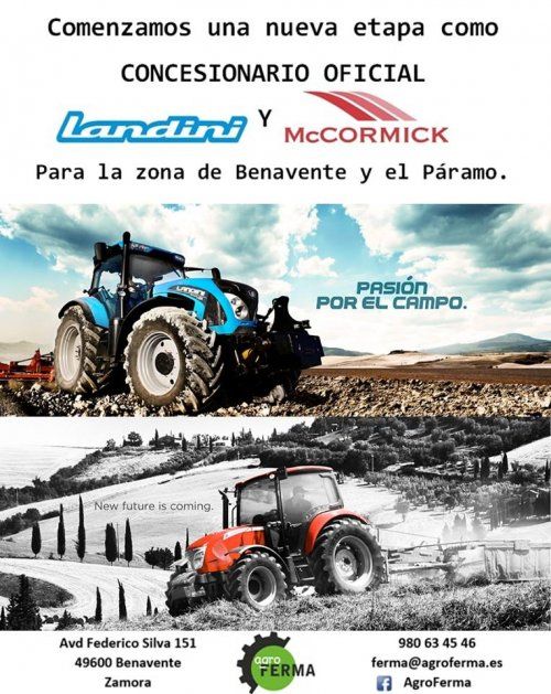 14448855 299079323809302 7753417444381406927 n