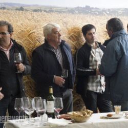 Nuevas instalaciones de Agroferma en Benavente 17