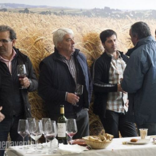 Nuevas instalaciones de Agroferma en Benavente 17