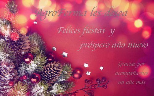 Feliz Navidad y Próspero Año Nuevo